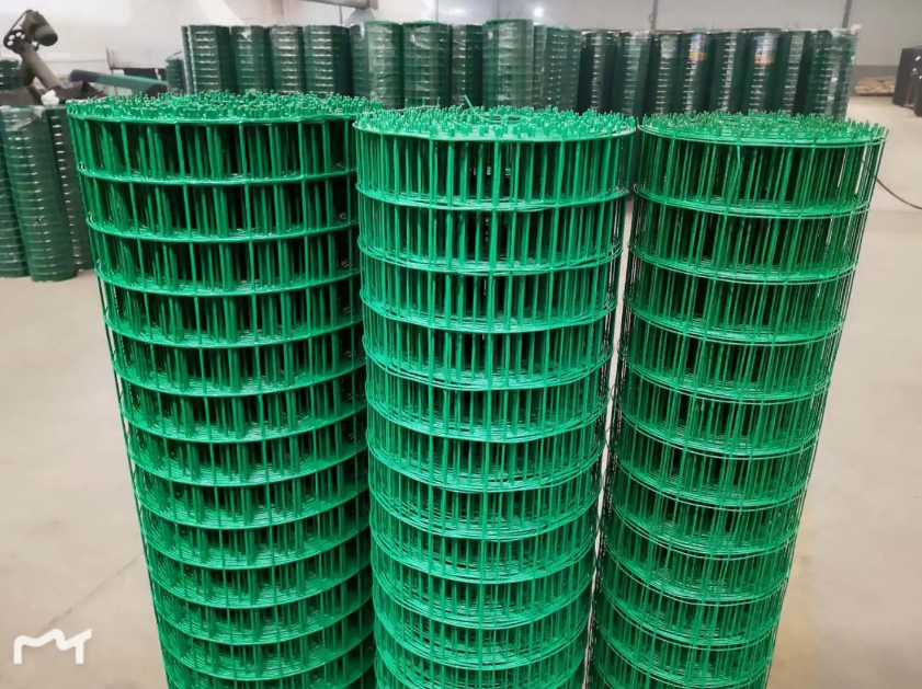 平潭荷兰网